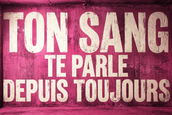 Texte « Ton sang te parle depuis toujours » sur fond rose